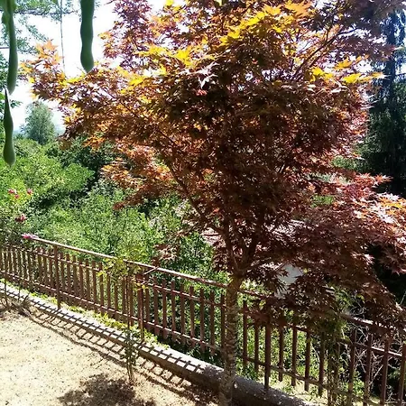 Indipendente Con Giardino Panoramico *